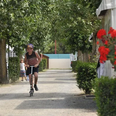 Paradis Domaine Oyat キャンプ場 4*