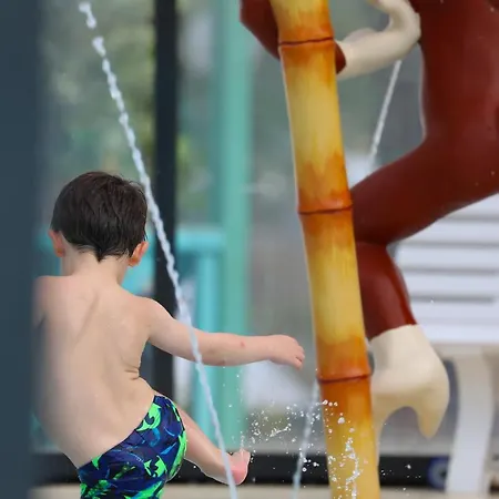 Paradis Domaine Oyat Campeggio